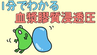 【1分でわかる】血漿膠質浸透圧【解説】