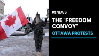 Ottawa's Freedom Convoy protests' global implications | ABC News