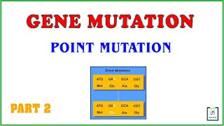 Gene mutation | Point mutation | Part 2