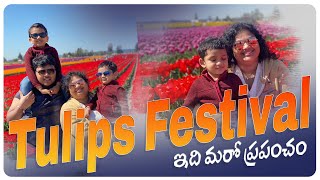 America lo Tulip Festival| | Telugu Vlogs | Munni to Mummy | Family Videos
