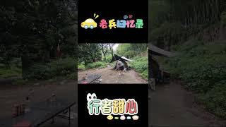 老兵回忆录：露营山里突然下大暴雨，老兵在天幕下烧菜喝早酒！#行者甜心 #记录生活 #熱門