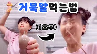 거북알은 제발 얼려드세요.....#Shorts