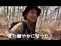 【富士吉田part3】新倉山登ってみた！