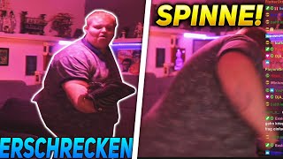 Exsl95 erschreckt sich vor SPINNE und SPRINGT VOM STUHL 😂 Exsl95 Livestream Highlights