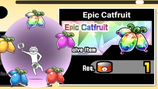 Evolving cats but it's Battle Cats Mod