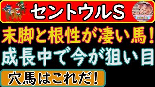 セントウルステークス2023年の穴馬予想！この馬の末脚と根性は狙い目です