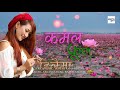 kamal ful hilaima lyric video melina rai female version kauda song 2076 2020