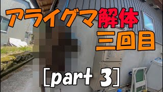 【グロ注意】三回目のアライグマ解体【part 3】