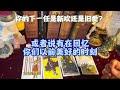 你的下一任是新欢还是旧爱？ 塔羅 情感