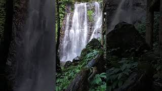 2023/12/02 滿月圓國家森林遊樂區 台灣 Full Moon - Manyueyuan - VirginWaterfall in New Taipei 處女瀑布(2)