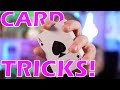 3 EASY Card Tricks You Can Learn In 5 MINUTES!!! - day 129