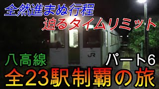 【全駅制覇シリーズ】八高線の全23駅制覇を目指してみた　パート6(鉄道旅行)