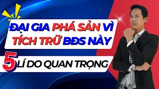 Đại gia phá sản vì tích trữ quá nhiều BĐS này, 05 lí do quan trọng | Hiệp Bất Động Sản Official