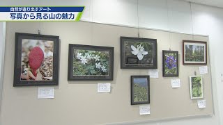 自然が造り出すアート「山と花の写真展」【テレビトクシマ】