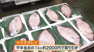 「おいしい魚で年越しを」仙台市中央卸売市場で水産部門の競り納め (24/12/30 17:05)