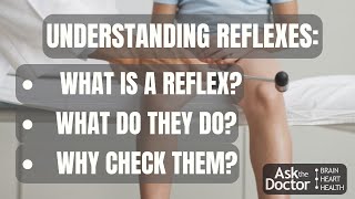 What is a reflex?