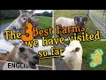 IRELAND: The 3 Best Farms so far