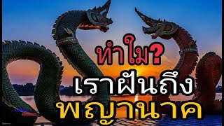 ทำใมเราฝันถึงพญานาค ท่านจะบอกอะไรหรือไม่ ?