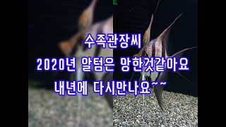 2020년알텀 망한것같은데요?