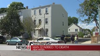 New Haven man stabbed to death, police investigating