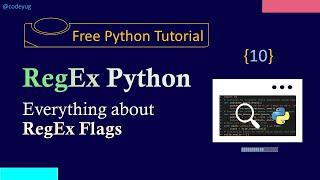 Regex in Python - 10 | Flags in Python Regex| Python Tutorial for Beginners in Hindi