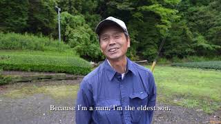 「日本の茶産地」の映像（静岡県　足久保）