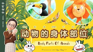 【跟着詹老师上学趣】学前科学 l 动物的身体部位 l Body Parts of Animals l 学前教育 l 快乐学习