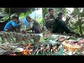 Hunting Birds, Squirrels In The Jungle | Catch & Cook | Yos hav zoov tua noog tua nas noj txiv