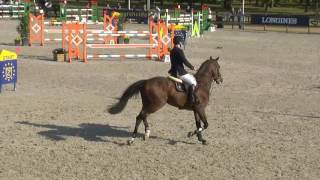 World Championships Young horses - 6 yr old - Zangersheide