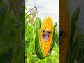 what’s your favorite vegetable ￼ vegetables foodwars carterandersoncomedy