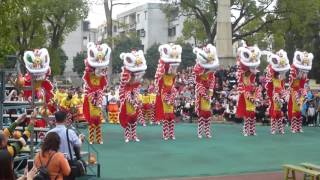 台山一中2017鸡年新春舞狮 —— 群狮