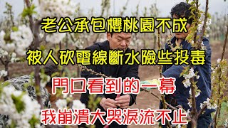 老公承包櫻桃園不成，被人砍電線斷水險些投毒，門口看到的一幕，我崩潰大哭淚流不止|翠花的秘密