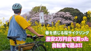 【激安自転車】2万円台の自転車で芝川グラベルライドで春を感じる桜街道ライド