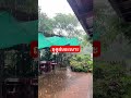 สวัสดีวันอาทิตย์ เอาบรรยากาศฝนตกมาฝากจ้าาา