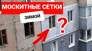 Нужно ли снимать москитные сетки зимой с окон?