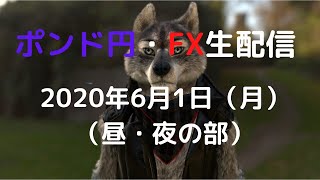 【FXライブ配信】ポンド円・FX専業トレーダーが本気で挑む！ 30万円チャレンジ(6日目)