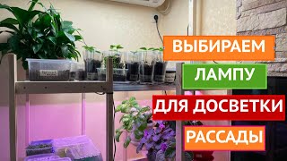 ОРГАНИЗУЕМ МЕСТО ДЛЯ РАССАДЫ ПРАВИЛЬНО! ЛУЧШИЕ ВАРИАНТЫ ДЛЯ ДОСВЕТКИ РАССАДЫ!