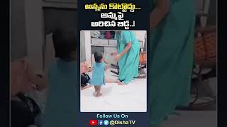 Small Baby Viral Video | Viral Video Updates | Disha TV