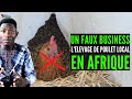 j'ai perdu 700 POULETS LOCAUX en 2020, ATTENTION avec L'ELEVAGE DE POULET LOCAL en AFRIQUE