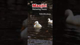 Manjiri Relaxing #sleepmusic #medition #naturesoundmusic