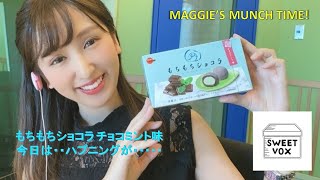 【面白い】マギーのMUNCH TIME「今日のモグモグを是非観てください」『もちもちショコラ チョコミント味』【ご褒美】 【チョコミント】