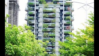 樹花園TreeGarden：垂直森林系列，若山 Vertical Forest, Ruo Shan in Taiwan