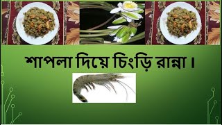 Sherina Islam Blogger BD||শাপলা দিয়ে চিংড়ি রান্না I