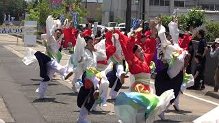 わん！「しなと屋正調」パレード会場　住吉祭り2019