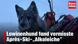 Lawinenhund fand vermisste Après-Ski-„Alkoleiche“ | krone.tv NEWS