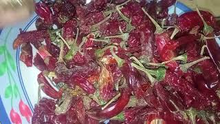 طريقه عمل الشطه السودانى 🌶️ فى البيت