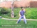 Guang Ping Tai Chi with Posture Names