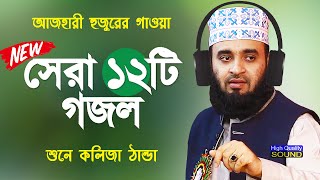 সেরা ১২টি গজল | মিজানুর রহমান আজহারী গজল | Mizanur Rahman Azhari Gojol | Bangla Gojol | Islamic Song
