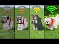 minecraft with different Wi-Fi be like