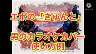 【City Pop】エポ「きゅんと」男のカラオケカバー 使い方例